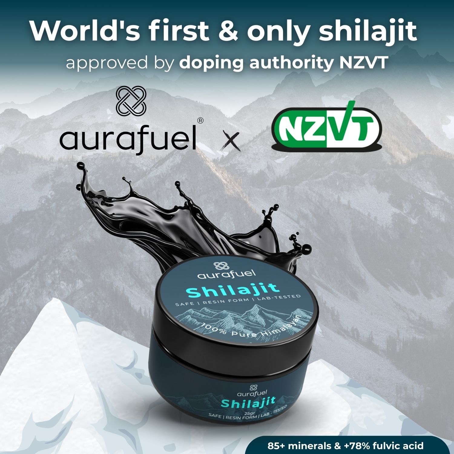 Pure Shilajit Resin From Himalaya