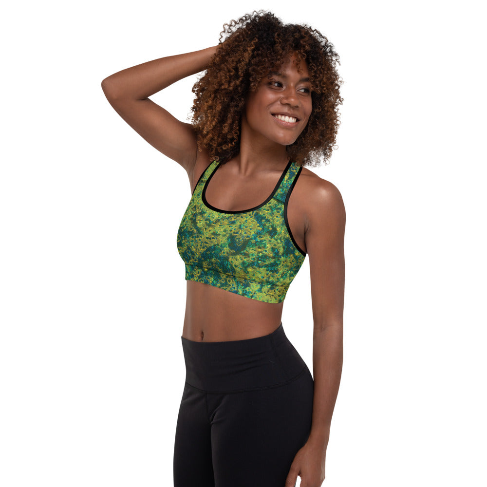 Salty Dog Padded Sports Bra