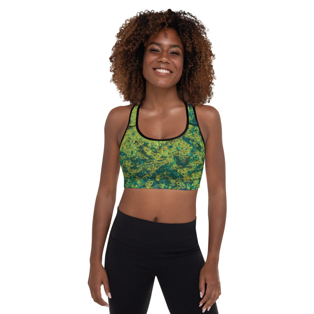 Salty Dog Padded Sports Bra