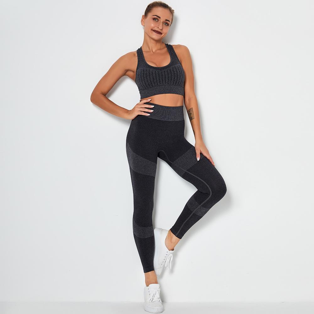 Seamless 2-Piece Workout Set