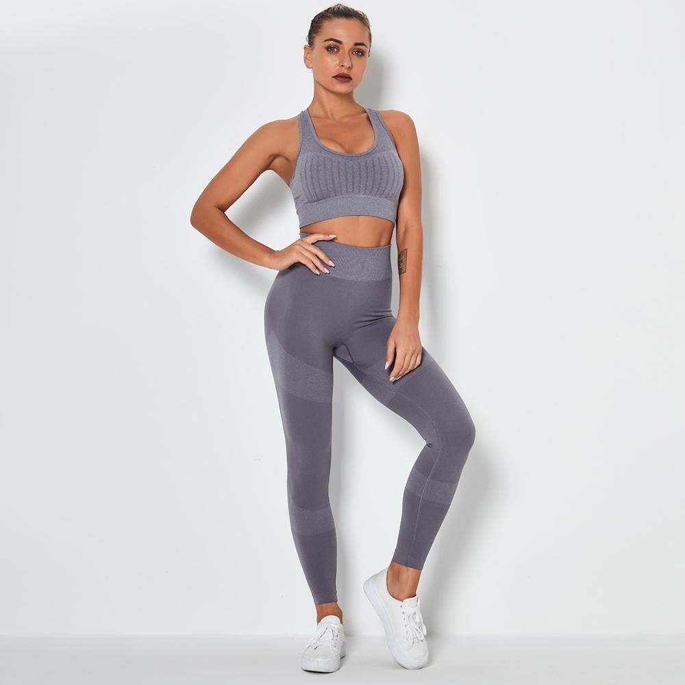 Seamless 2-Piece Workout Set