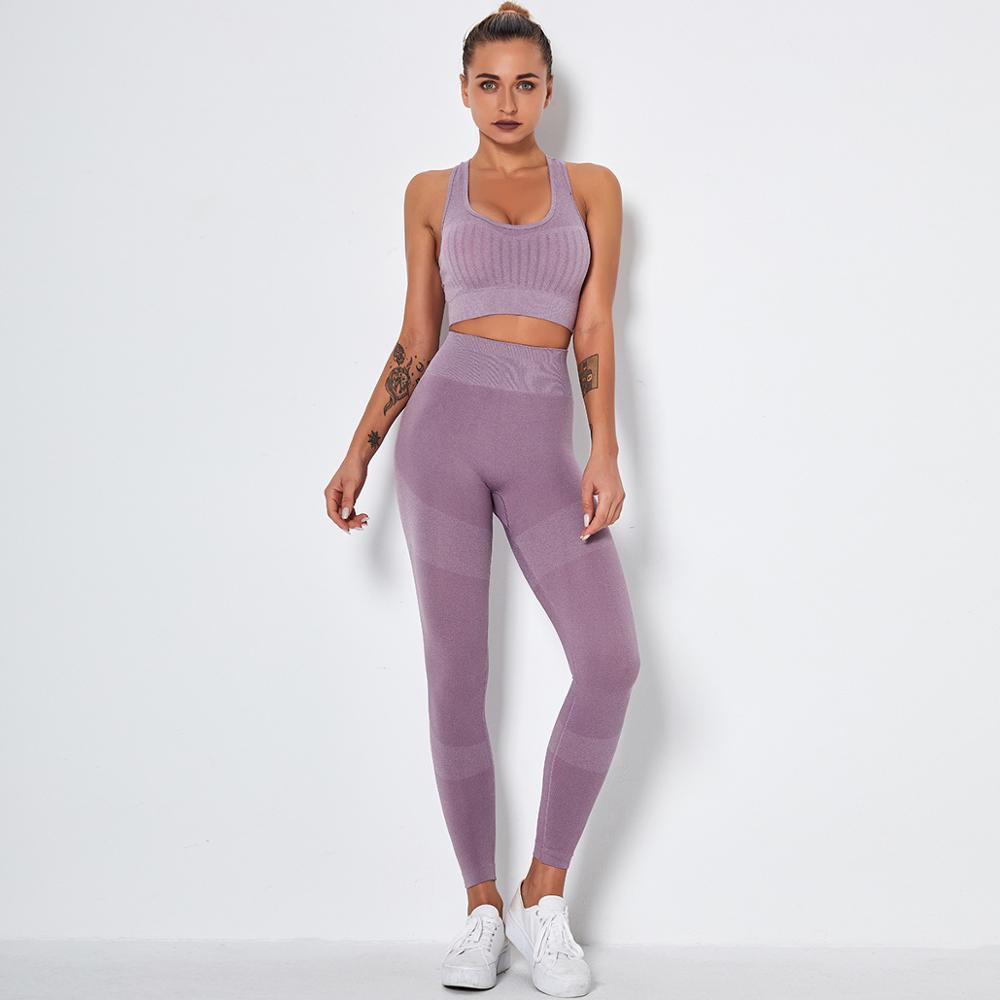 Seamless 2-Piece Workout Set