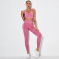 Seamless 2-Piece Workout Set