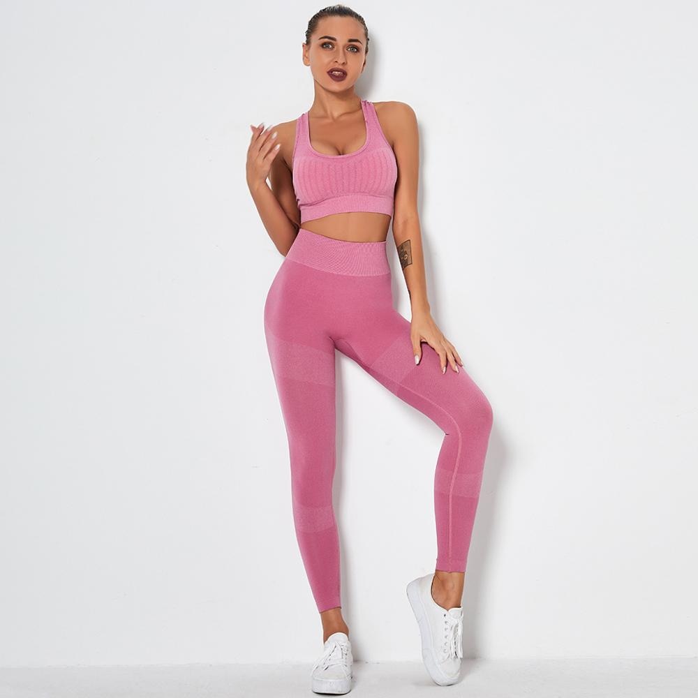 Seamless 2-Piece Workout Set